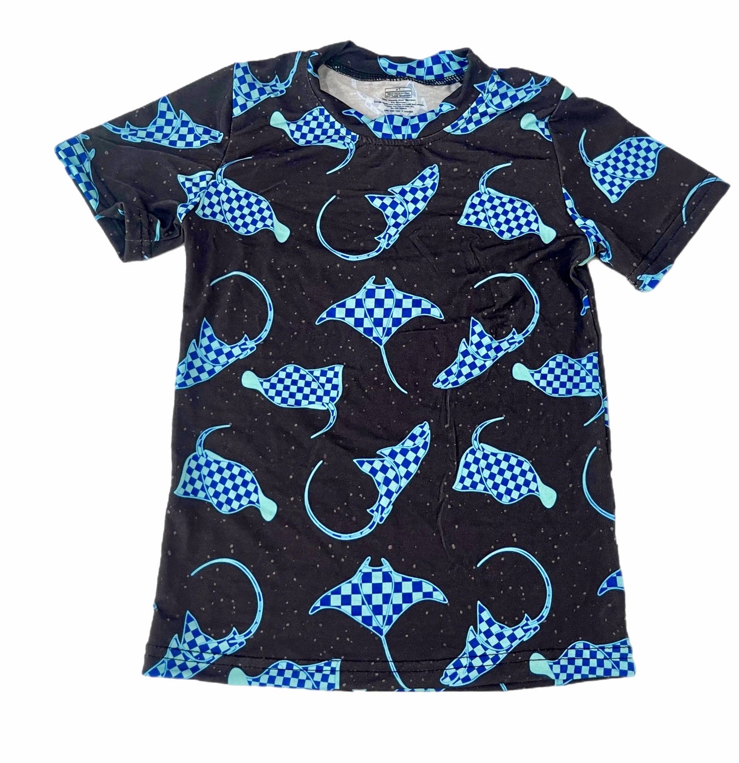 PJ RAYS