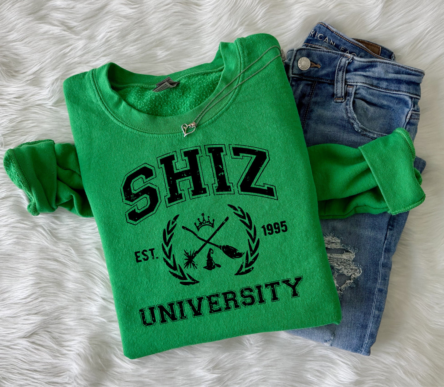 Shiz University