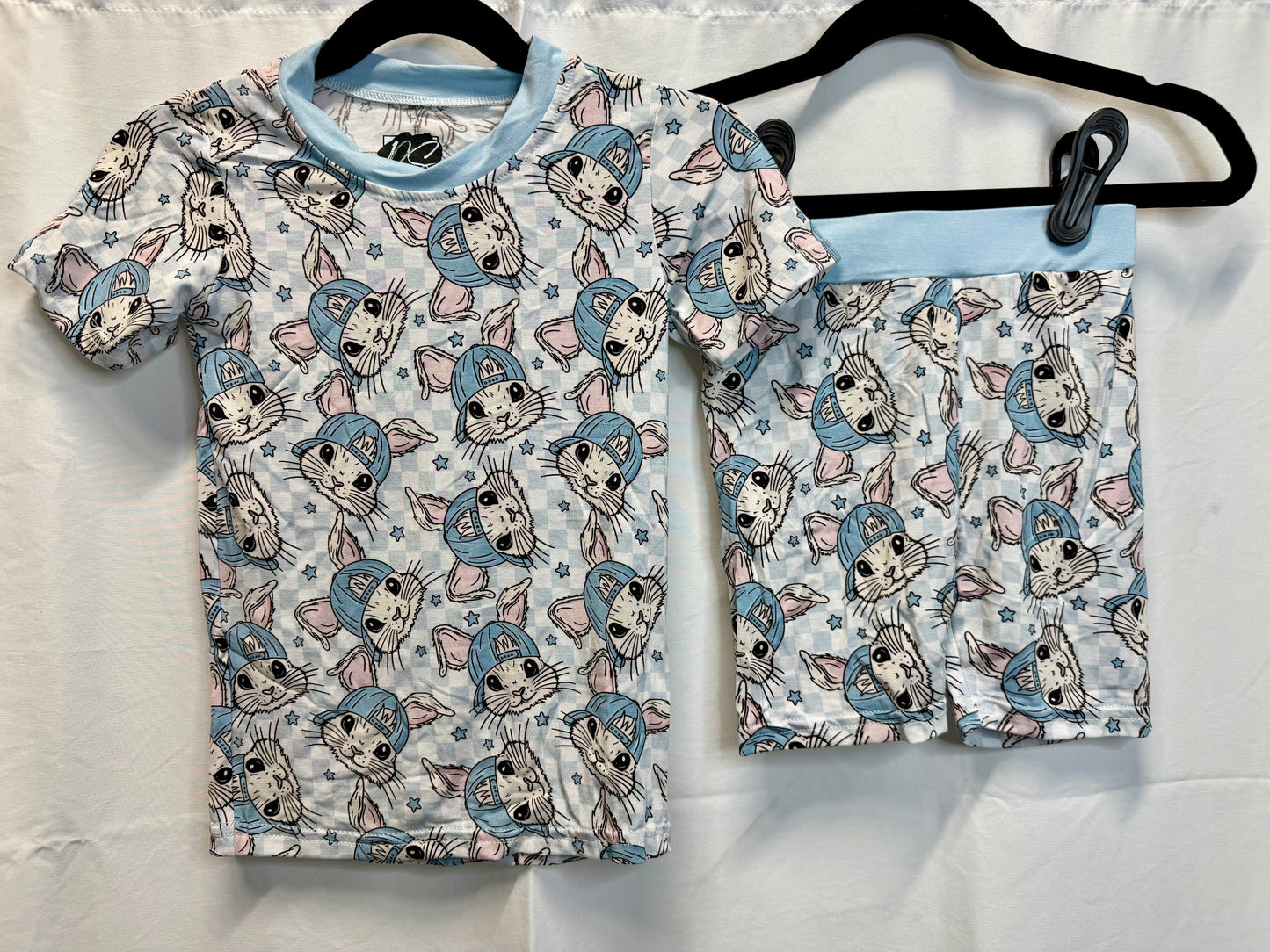 Blue or Pink Bunny Set